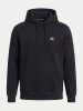 Tommy Jeans RED BADGE HOODY